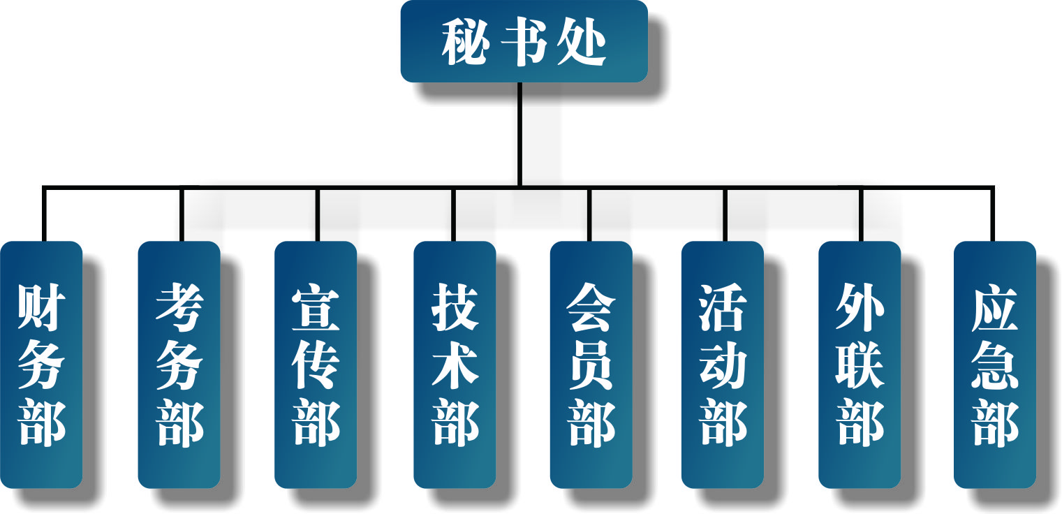 省协会组织机构5.jpg
